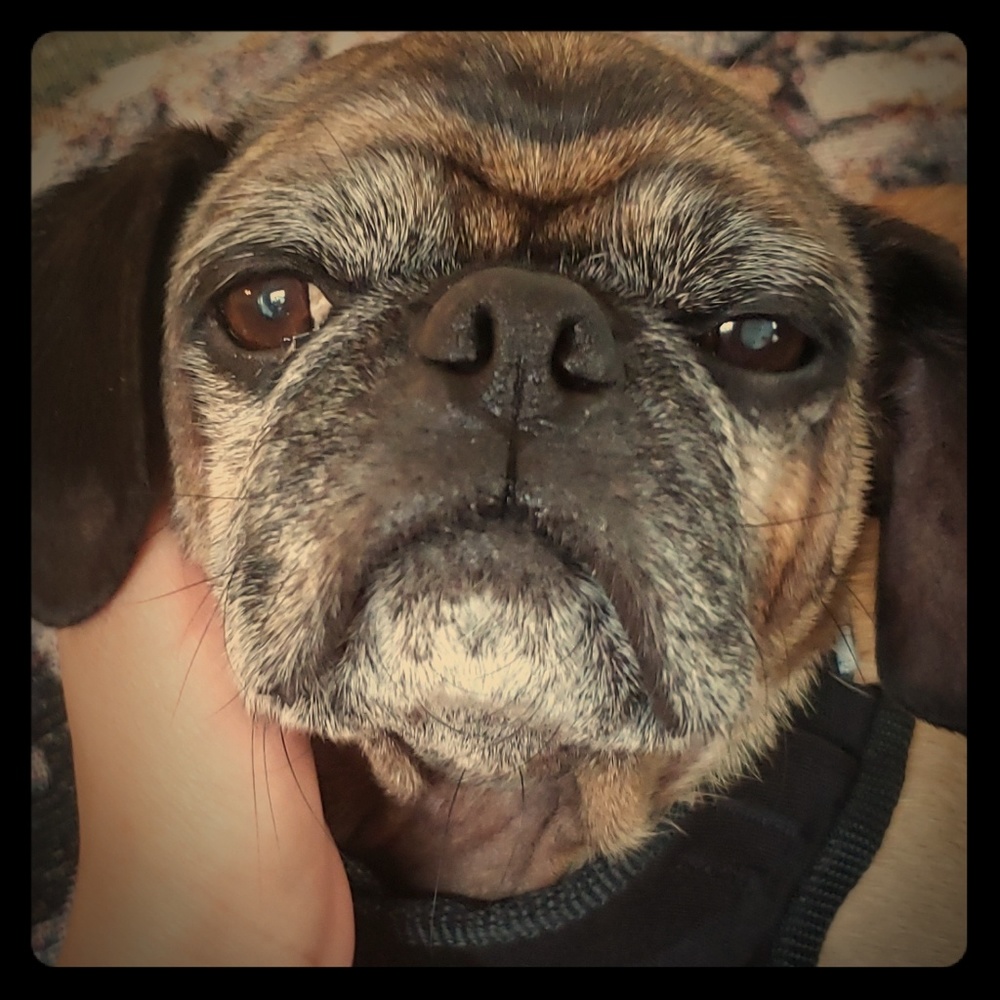 Welcome to my closet!